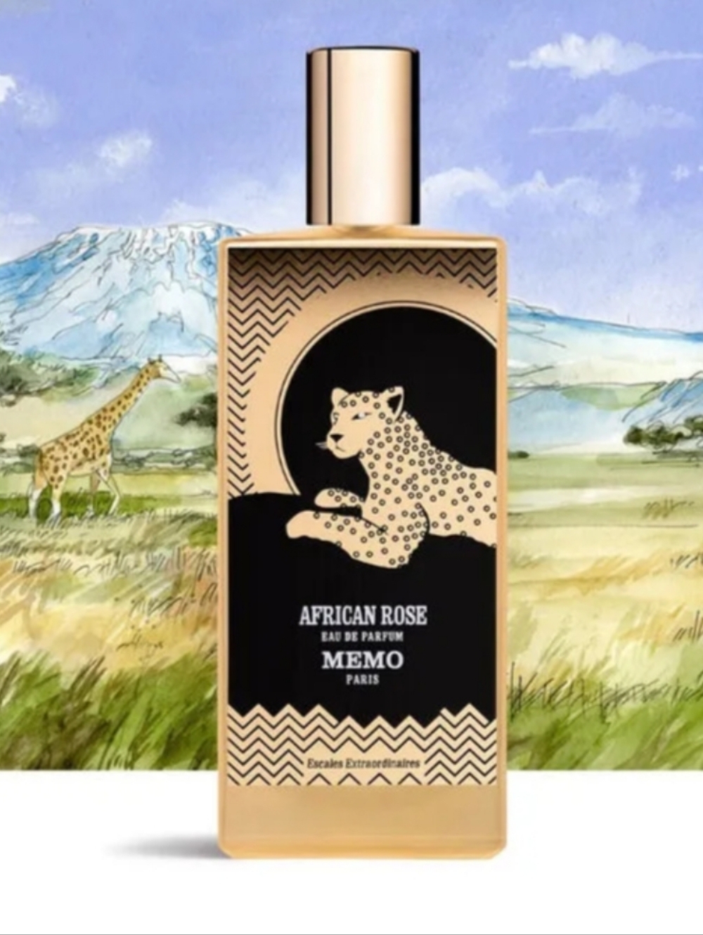Memo Paris African Rose